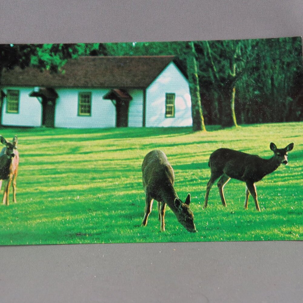 Vintage Postcard - Fort Rodd National Park Canada - Parks Canada